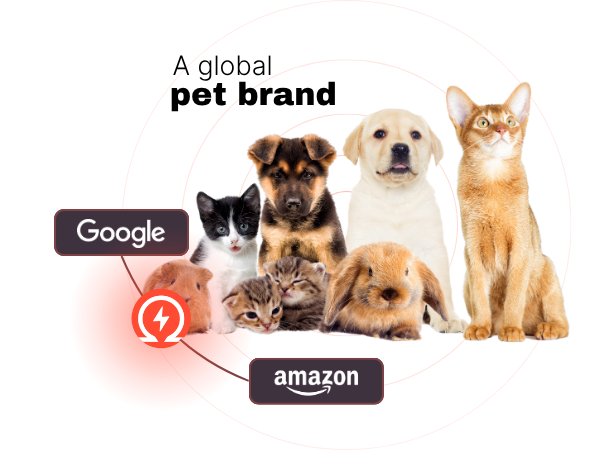 Global pet brand, 80% CAC reduction