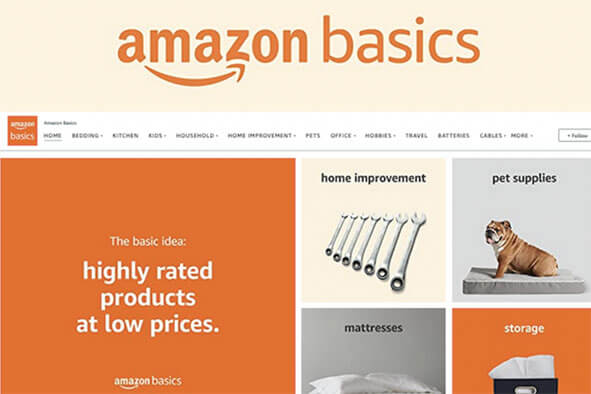 amazon basics orange