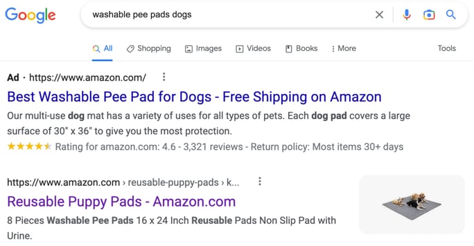 Jungle Scout Google result with ad
