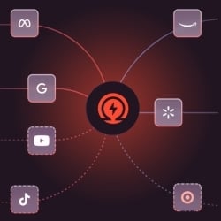 Explore more of Ampd's connections