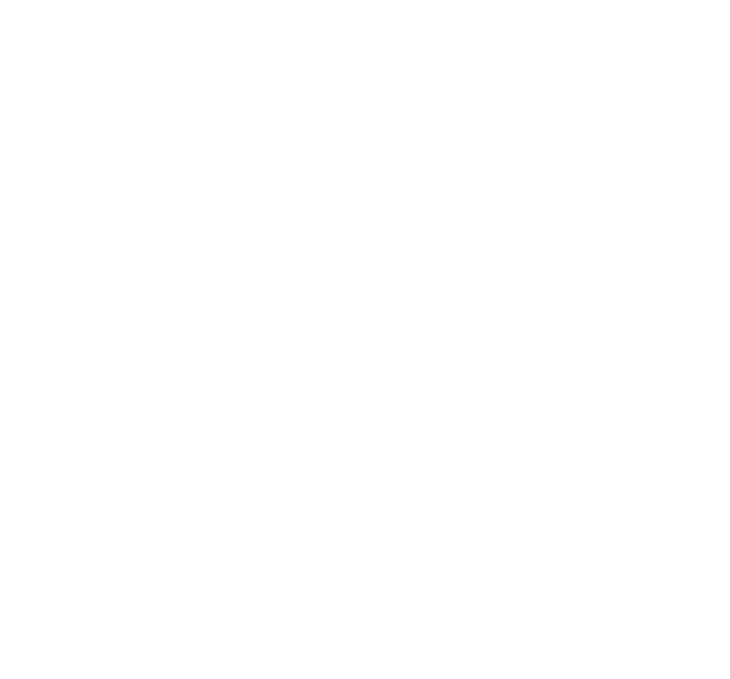 Publicis Groupe