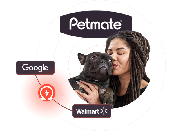 Petmate drives 66% sales growth on Walmart by tapping into Google paid search