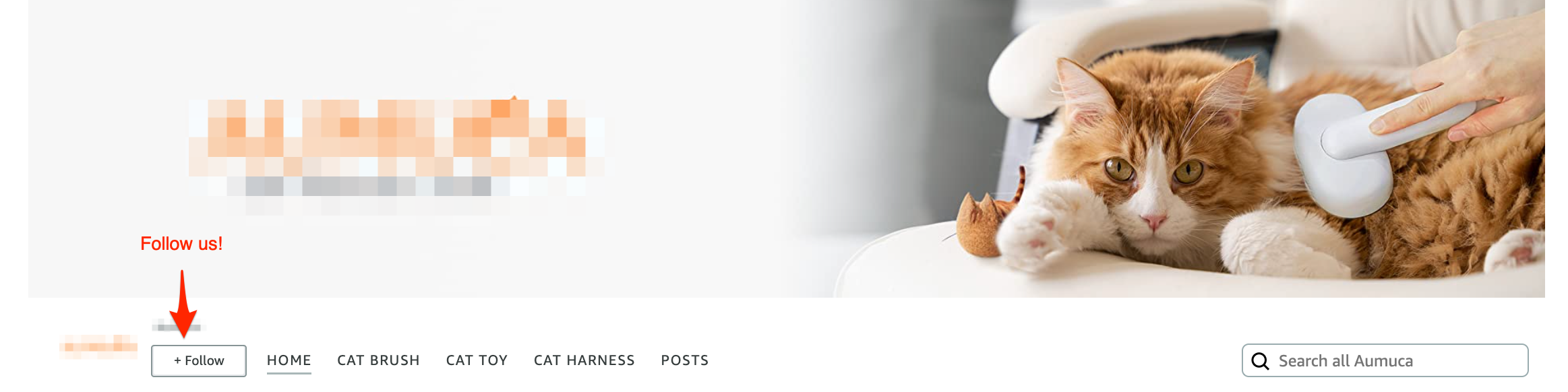 Store front banner example